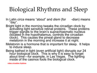 Biological Rhythms and Sleep In Latin  circa  means “about” and  diem  (for  -dian) means “day”. Bright light in the morning tweaks the circadian clock by activating light sensitive retinal proteins.  These proteins trigger signals to the brain’s suprachiasmatic nucleus (located in the hypothalamus, controls the circadian clock).  This causes the pineal gland to decrease melatonin in the morning and increase it at night.  Melatonin is a hormone that is important for sleep.  It helps to induce sleep. Being bathed in light (even artificial light) disrupts our 24 hour biological clock.  This is why it is easy to forget about time—for example, in Las Vegas.  The lighting inside of the casinos fools the biological clock. video circadian rhythms 