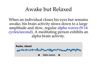 Awake but Relaxed When an individual closes his eyes but remains awake, his brain activity slows down to a large amplitude and slow, regular  alpha waves (9-14 cycles/second) .   A meditating person exhibits an alpha brain activity. 