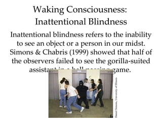 Waking Consciousness:  Inattentional Blindness Inattentional blindness refers to the inability to see an object or a person in our midst. Simons & Chabris (1999) showed that half of the observers failed to see the gorilla-suited assistant in a ball passing game.  Daniel Simons, University of Illinois 