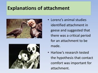 Mod 6 explanations of attachment | PPTX