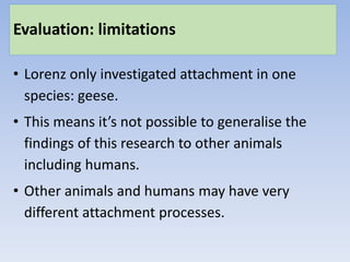 Evaluation: limitations
• Lorenz only investigated attachment in one
species: geese.
• This means it’s not possible to generalise the
findings of this research to other animals
including humans.
• Other animals and humans may have very
different attachment processes.
 