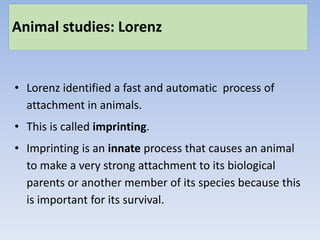 Animal studies: Lorenz
• Lorenz identified a fast and automatic process of
attachment in animals.
• This is called imprinting.
• Imprinting is an innate process that causes an animal
to make a very strong attachment to its biological
parents or another member of its species because this
is important for its survival.
 