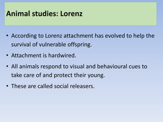 Animal studies: Lorenz
• According to Lorenz attachment has evolved to help the
survival of vulnerable offspring.
• Attachment is hardwired.
• All animals respond to visual and behavioural cues to
take care of and protect their young.
• These are called social releasers.
 