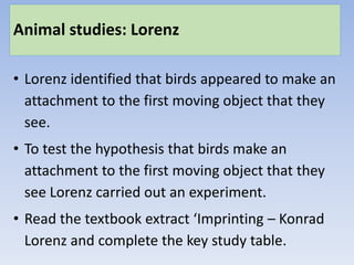 Animal studies: Lorenz
• Lorenz identified that birds appeared to make an
attachment to the first moving object that they
see.
• To test the hypothesis that birds make an
attachment to the first moving object that they
see Lorenz carried out an experiment.
• Read the textbook extract ‘Imprinting – Konrad
Lorenz and complete the key study table.
 