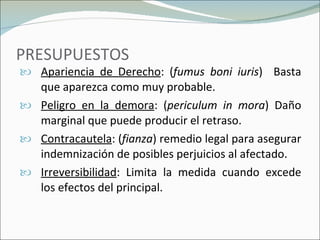 PRESUPUESTOS Apariencia de Derecho : ( fumus boni iuris )  Basta que aparezca como muy probable. Peligro en la demora : ( periculum in mora ) Daño marginal que puede producir el retraso. Contracautela : ( fianza ) remedio legal para asegurar indemnización de posibles perjuicios al afectado. Irreversibilidad : Limita la medida cuando excede los efectos del principal. 