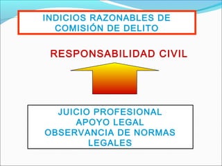 JUICIO PROFESIONAL
APOYO LEGAL
OBSERVANCIA DE NORMAS
LEGALES
INDICIOS RAZONABLES DE
COMISIÓN DE DELITO
RESPONSABILIDAD CIVIL
 