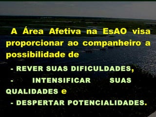 A Área Afetiva na EsAO visa proporcionar ao companheiro a possibilidade de - REVER SUAS DIFICULDADES , - INTENSIFICAR SUAS  QUALIDADES   e - DESPERTAR POTENCIALIDADES . Vis Ch DEP 2008 