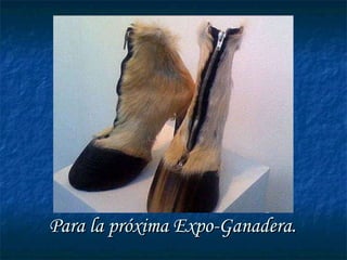 Para la próxima Expo-Ganadera.  