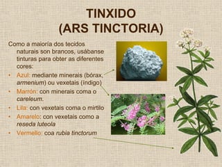 TINXIDO
                  (ARS TINCTORIA)
Como a maioría dos tecidos
  naturais son brancos, usábanse
  tinturas para obter as diferentes
  cores:
• Azul: mediante minerais (bórax,
  armenium) ou vexetais (índigo)
• Marrón: con minerais coma o
  careleum.
• Lila: con vexetais coma o mirtilo
• Amarelo: con vexetais como a
  reseda luteola
• Vermello: coa rubia tinctorum
 