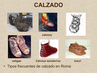 CALZADO



                     calceus




    caligae      Calceus senatorius     socci

• Tipos frecuentes de calzado en Roma
 