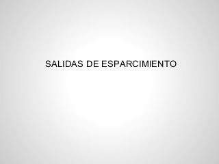 SALIDAS DE ESPARCIMIENTO
 