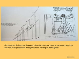 Os diagramas de barra e o diagrama triangular mostram como as partes do corpo têm
em comum as proporções da seção áurea e o triângulo de Pitágoras.



                                                                         (DOCZI, 1990)
 