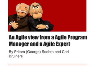 An Agile view from a Agile Program
Manager and a Agile Expert
By Pritam (George) Seehra and Carl
Bruiners
 
