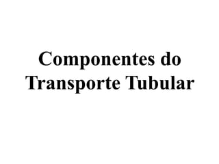 Componentes do
Transporte Tubular
 