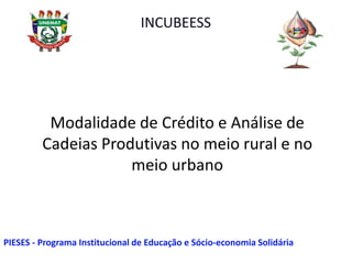 Modalidade de Crédito e Análise de
Cadeias Produtivas no meio rural e no
meio urbano
INCUBEESS
PIESES - Programa Institucional de Educação e Sócio-economia Solidária
 