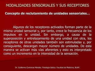 MODALIDADES SENSORIALES Y SUS RECEPTORES
Concepto de reclutamiento de unidades sensoriales…
Algunos de los receptores activados forman parte de la
misma unidad sensorial y, por tanto, crece la frecuencia de los
impulsos en la unidad. Sin embargo, a causa de la
superposición y entrelazamiento de una unidad con otra, los
receptores de otras unidades también son estimuladas y, por
consiguiente, descargan mayor número de unidades. De esta
manera se activan más vías aferentes y esto es interpretado
como un incremento en la intensidad de la sensación.
Dr. Guillermo Contreras Méndez. Fisiología básica. Facultad de Medicina, BUAP.
 
