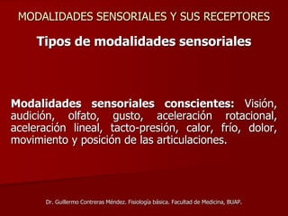 MODALIDADES SENSORIALES Y SUS RECEPTORES
Tipos de modalidades sensoriales
Modalidades sensoriales conscientes: Visión,
audición, olfato, gusto, aceleración rotacional,
aceleración lineal, tacto-presión, calor, frío, dolor,
movimiento y posición de las articulaciones.
Dr. Guillermo Contreras Méndez. Fisiología básica. Facultad de Medicina, BUAP.
 