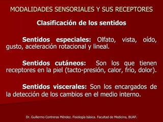 MODALIDADES SENSORIALES Y SUS RECEPTORES
Clasificación de los sentidos
Sentidos especiales: Olfato, vista, oído,
gusto, aceleración rotacional y lineal.
Sentidos cutáneos: Son los que tienen
receptores en la piel (tacto-presión, calor, frío, dolor).
Sentidos viscerales: Son los encargados de
la detección de los cambios en el medio interno.
Dr. Guillermo Contreras Méndez. Fisiología básica. Facultad de Medicina, BUAP.
 