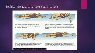 Estilo Brazada de costado
 