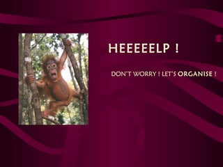 HEEEEELP !
DON’T WORRY ! LET’S ORGANISE !

 