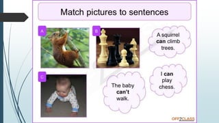 Modal Verbs Presentation | PPTX