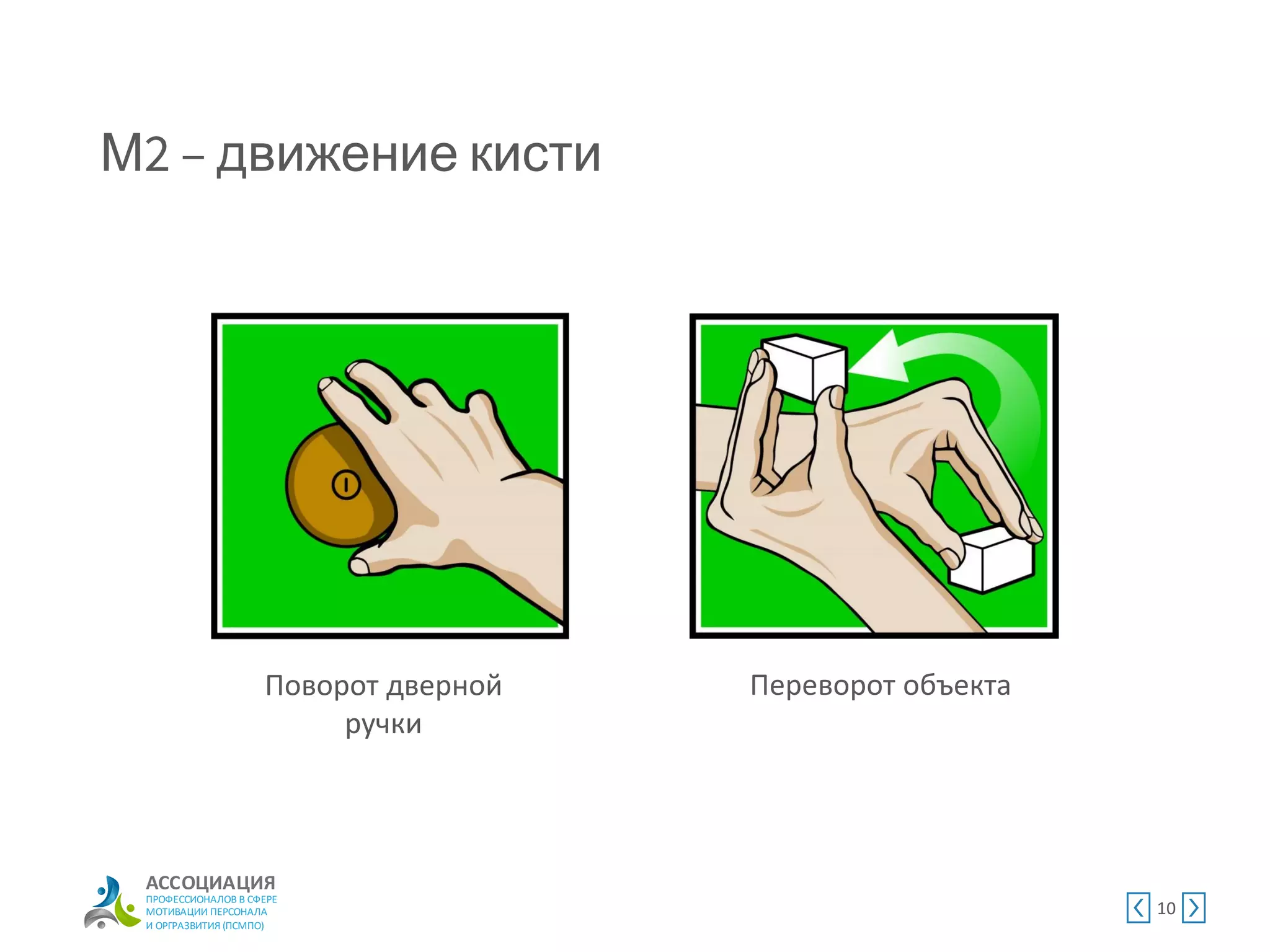 АССОЦИАЦИЯ
ПРОФЕССИОНАЛОВ В СФЕРЕ
МОТИВАЦИИ ПЕРСОНАЛА
И ОРГРАЗВИТИЯ (ПСМПО)
М движение кисти
10
Поворот дверной
ручки
Переворот объекта
 