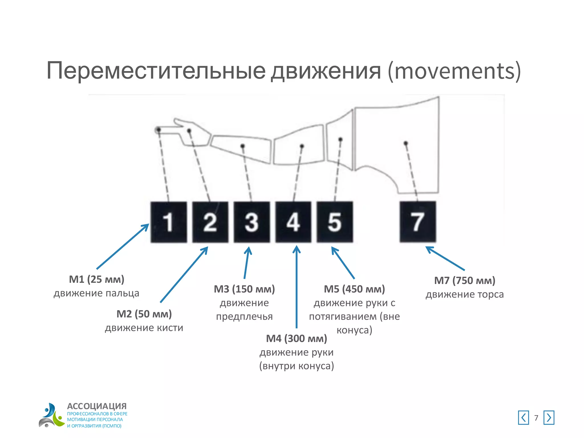 АССОЦИАЦИЯ
ПРОФЕССИОНАЛОВ В СФЕРЕ
МОТИВАЦИИ ПЕРСОНАЛА
И ОРГРАЗВИТИЯ (ПСМПО)
Переместительные движения
7
M1 (25 мм)
движение пальца
M2 (50 мм)
движение кисти
M3 (150 мм)
движение
предплечья
M4 (300 мм)
движение руки
(внутри конуса)
M5 (450 мм)
движение руки с
потягиванием (вне
конуса)
M7 (750 мм)
движение торса
 