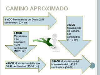 1 MOD Movimientos del Dedo: 2.54
centímetros. (0-4 cm)
                                               2 MOD
                                               Movimientos
                                               de la mano:
       3 MOD                                   5.8
       Movimiento                              centímetros
       s del                                   (4-10 cm)
       antebrazo:
       15.24
       centímetros
       (10-23 cm)



                                    5 MOD Movimientos del
 4 MOD Movimientos del brazo:      brazo extendido: 45,72
 30,48 centímetros (23-38 cm)      centímetros (38-56)
 