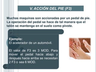 V. ACCIÓN DEL PIE (F3)

Muchas maquinas son accionadas por un pedal de pie.
La operación del pedal se hace de tal manera que el
talón se mantenga en el suelo como pivote.



 Ejemplo:
 El acelerador de un automóvil.

 El valor de F3 es 3 MOD. Para
 mover el pedal hacia abajo y
 después hacia arriba se necesitan
 2 F3 o sea 6 MOD.
 