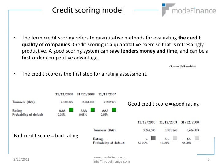 Delopment and testing of a credit scoring model