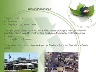 Population Geography | PPT