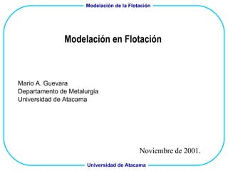 Modelación en Flotación Mario A. Guevara Departamento de Metalurgia Universidad de Atacama Noviembre de 2001. 