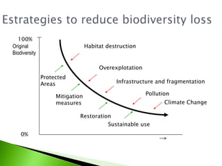 Estrategies to reduce biodiversity loss100%Original BiodiversityHabitat destructionOverexplotationProtectedAreasInfrastructure and fragmentationPollutionMitigationmeasuresClimate ChangeRestorationSustainable use0%
