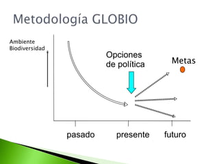 ¿Cuáles son las causas de  su degradación?