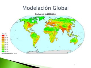 Metodología GLOBIOAmbienteBiodiversidadOpciones de políticaMetasfuturopasadopresente