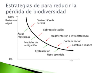 Estrategias de parareducir la pérdida de biodiversidad100%BiodiversidadoriginalDestrucción de habitatSobreexplotaciónÁreas ProtegidasFragmentación e infraestructuraContaminaciónMedidas demitigaciónCambio climáticoRestauraciónUso sostenible0%