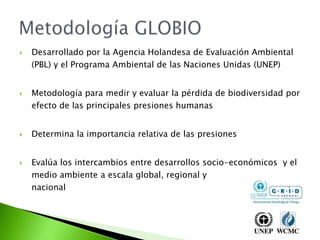 Desarrollado por la Agencia Holandesa de Evaluación Ambiental (PBL) y el Programa Ambiental de las Naciones Unidas (UNEP)Metodología para medir y evaluar la pérdida de biodiversidad por efecto de las principales presiones humanasDetermina la importancia relativa de las presionesEvalúa los intercambios entre desarrollos socio-económicos  y el medioambiente a escala global, regional ynacionalMetodología GLOBIO
