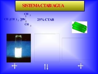 CH   3

CH 3
   (CH )     NBr
           2 15            25% CTAB
                  CH   3
 