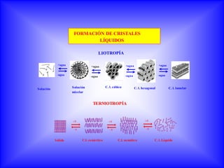 FORMACIÓN DE CRISTALES
                              LÍQUIDOS

                                        LIOTROPÍA

             +agua                                         +agua                     +agua
                                 +agua

            -agua                                          -agua                     -agua
                                -agua


                     Solución               C. l. cúbico           C. l. hexagonal           C. l. lamelar
Solución
                     micelar


                                  TERMOTROPÍA




           Sólido          C.l. esméctico            C.l. nemático               C. l. Líquido
 