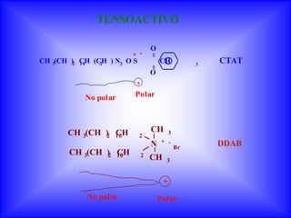 TENSOACTIVO

                                  O
                         + -




                                  =
CH 3(CH )2 CH (CH ) N3 O S
           14   2                     CH          3
                                                      CTAT




                                  =
                                  O
                          +

            No polar      Polar



       CH 3(CH ) 10               CH
               2 CH
                                         3
                           2
                                       + -            DDAB
                                  N          Br
        CH 3(CH ) 10
                2 CH          2   CH    3




             No polar                 Polar
 