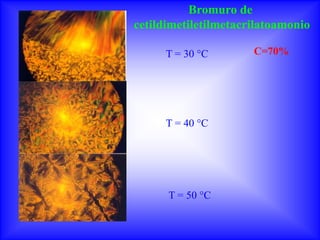 Bromuro de
cetildimetiletilmetacrilatoamonio

      T = 30 °C       C=70%




      T = 40 °C




      T = 50 °C
 