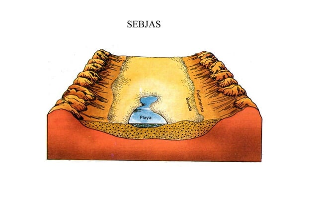 Modelado áRido 1 | PPT