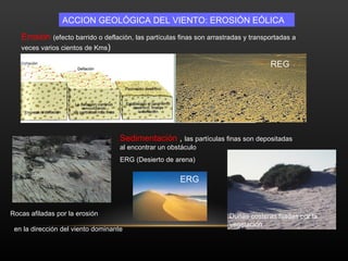ACCION GEOLÓGICA DEL VIENTO: EROSIÓN EÓLICA Erosión  (efecto barrido o deflación, las partículas finas son arrastradas y transportadas a veces varios cientos de Kms ) Rocas afiladas por la erosión en la dirección del viento dominante   REG Sedimentación  ,  las partículas finas son depositadas al encontrar un obstáculo  ERG (Desierto de arena) Dunas costeras fijadas por la vegetación  ERG 