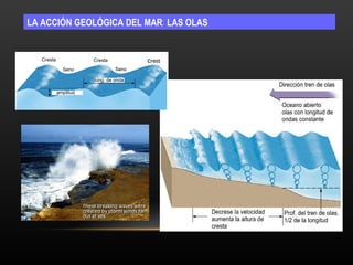 LA ACCIÓN GEOLÓGICA DEL MAR :  LAS OLAS 