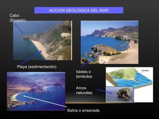 ACCION GEOLÓGICA DEL MAR Islotes o tómbolos Playa (sedimentación) Cabo (Erosión) Arcos naturales Bahía o ensenada 