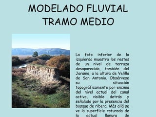 MODELADO FLUVIAL TRAMO MEDIO La foto inferior de la izquierda muestra los restos de un nivel de terraza desaparecida, también del Jarama, a la altura de Velilla de San Antonio. Obsérvese su situación topográficamente por encima del nivel actual del canal activo, visible detrás y señalado por la presencia del bosque de ribera. Más allá se ve la superficie roturada de la actual llanura de inundación. 