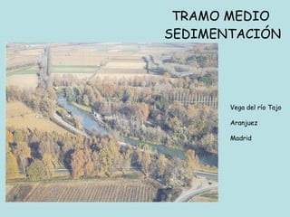 TRAMO MEDIO  SEDIMENTACIÓN Vega del río Tajo Aranjuez  Madrid 