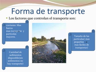 Forma de transporte Los factores que controlan el transporte son:  Tamaño de las partículas( mas pequeñas  mas fáciles de transportar) Cantidad de sedimentos disponible(sin sedimentos no hay transporte) Fuerza de la corriente: Mas fuerza  mas transporte  y partículas mayores. 