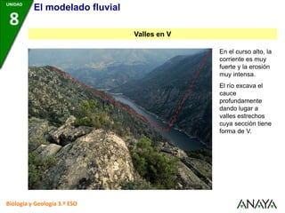 En el curso alto, la
corriente es muy
fuerte y la erosión
muy intensa.
El río excava el
cauce
profundamente
dando lugar a
valles estrechos
cuya sección tiene
forma de V.
Biología y Geología 3.º ESO
UNIDAD
8
UNIDAD
8
UNIDAD
8
Valles en V
UNIDAD
8
UNIDAD
8
UNIDAD
8
UNIDAD
8
UNIDAD
8
UNIDAD
8
UNIDAD
8
Biología y Geología 3.º ESO
UNIDAD
8
El modelado fluvial
 