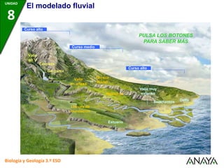 Curso alto
Curso alto
Curso medio
Valle
en V
Cascada
Garganta
Valle
en artesa
Llanura de
inundación
Terraza
fluvial
Meandros
Valle muy
extenso
Sedimentos Delta
Estuario
PULSA LOS BOTONES
PARA SABER MÁS
Biología y Geología 3.º ESO
UNIDAD
8
El modelado fluvial
 